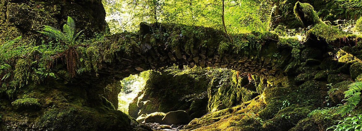 stonebridgeheader.jpg